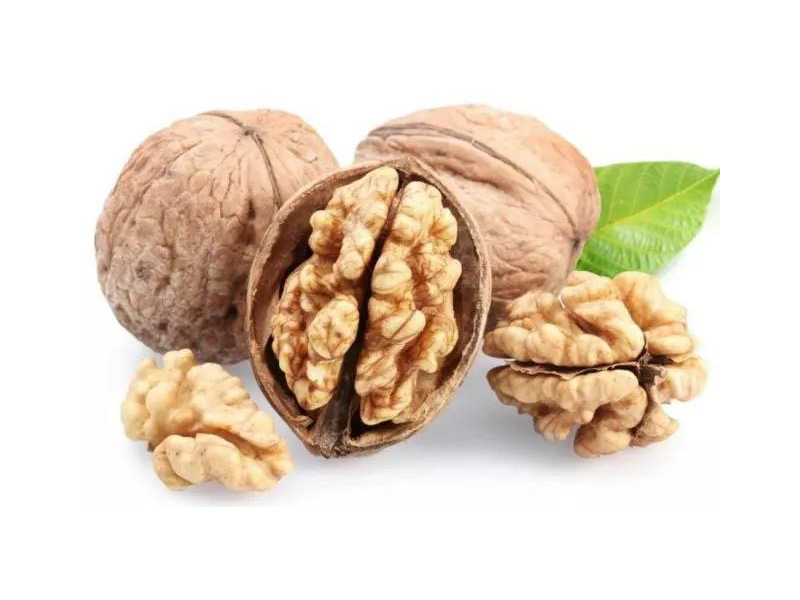 核桃树下话核桃