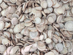 意昂(中国区)体育·官方网站-意昂让你的选择异乎寻常