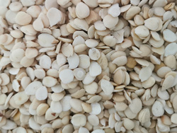 意昂(中国区)体育·官方网站-意昂让你的选择异乎寻常