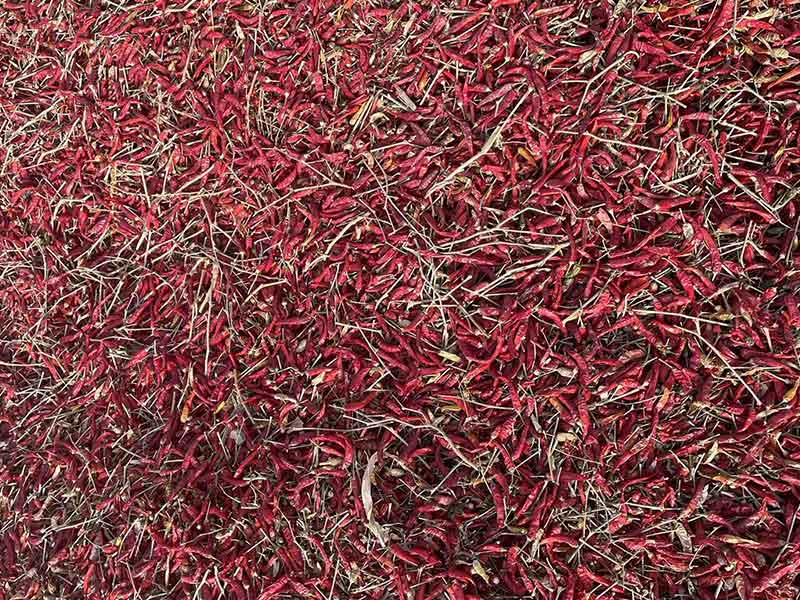 意昂(中国区)体育·官方网站-意昂让你的选择异乎寻常