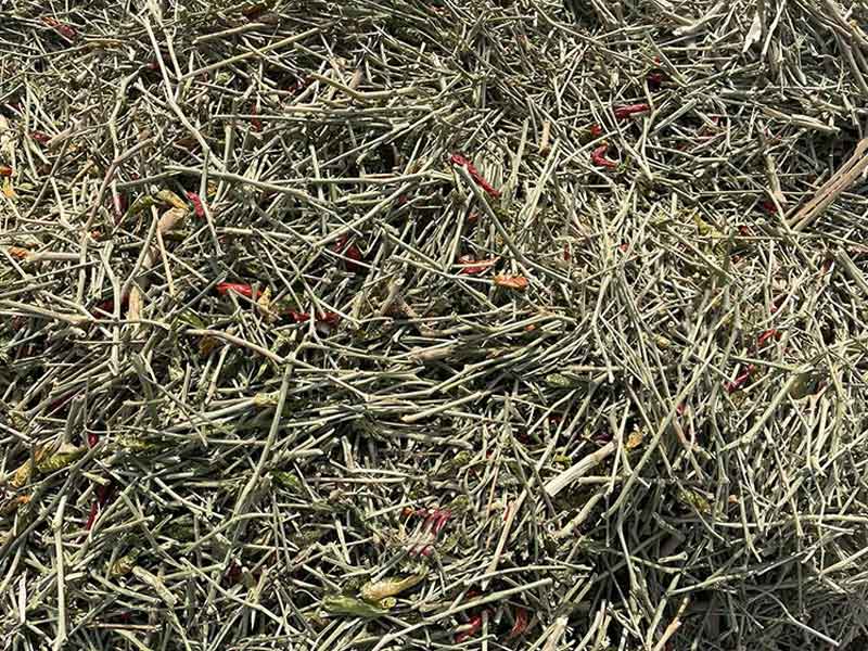 意昂(中国区)体育·官方网站-意昂让你的选择异乎寻常