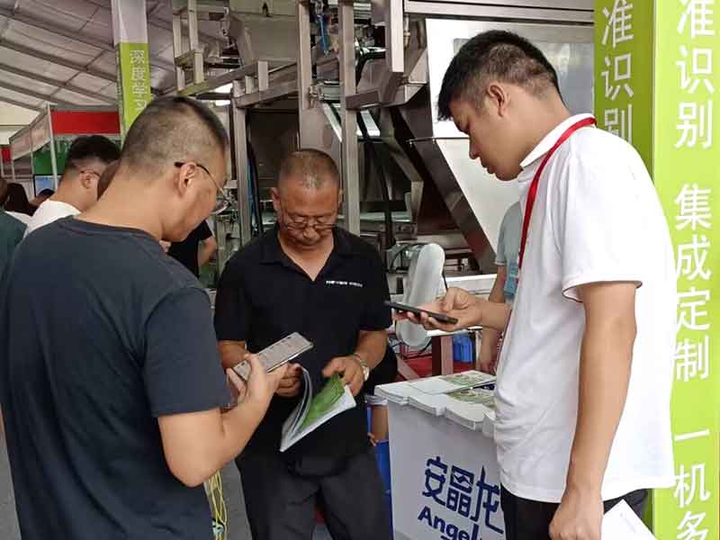 意昂(中国区)体育·官方网站-意昂让你的选择异乎寻常