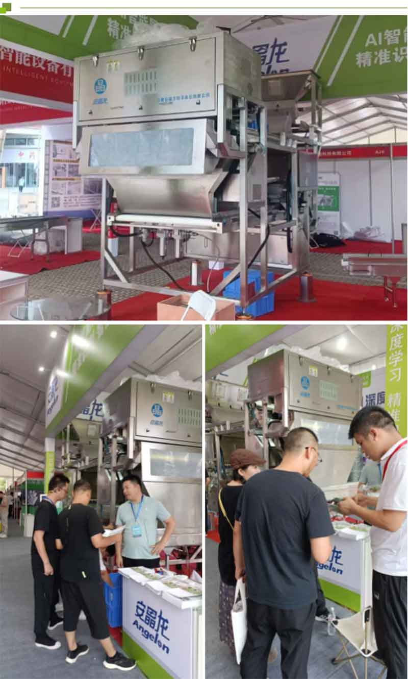 意昂(中国区)体育·官方网站-意昂让你的选择异乎寻常