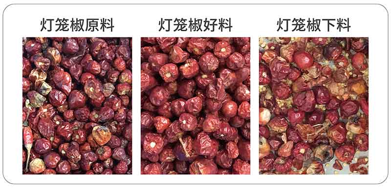 意昂(中国区)体育·官方网站-意昂让你的选择异乎寻常