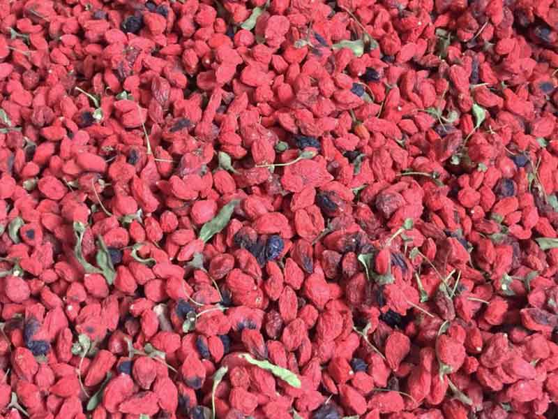 色选机|食品色选机|再生资源色选机|矿石色选机|履带色选机