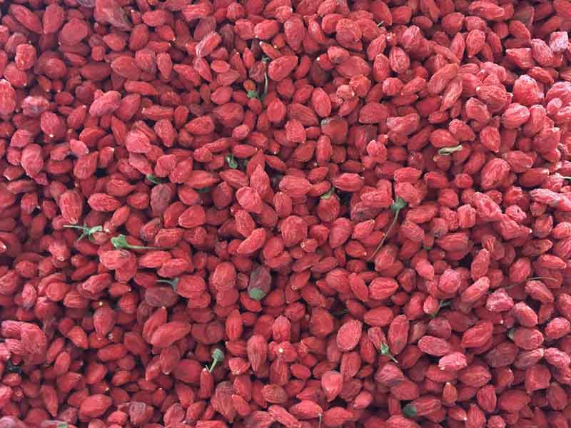 色选机|食品色选机|再生资源色选机|矿石色选机|履带色选机