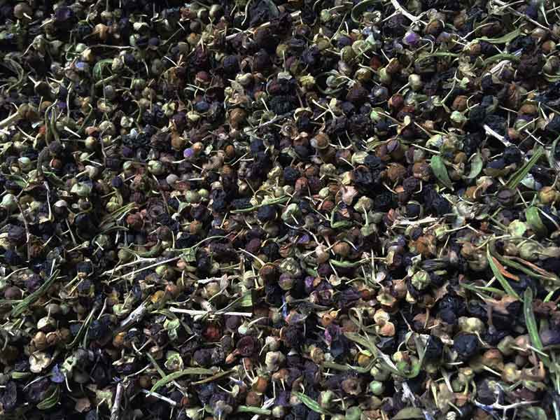 色选机|食品色选机|再生资源色选机|矿石色选机|履带色选机