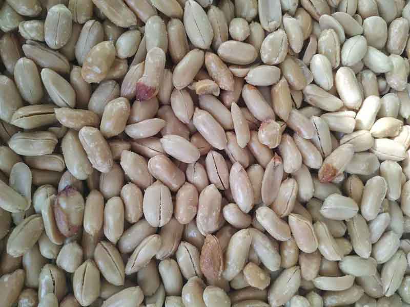 色选机|食品色选机|再生资源色选机|矿石色选机|履带色选机