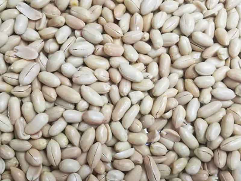 色选机|食品色选机|再生资源色选机|矿石色选机|履带色选机