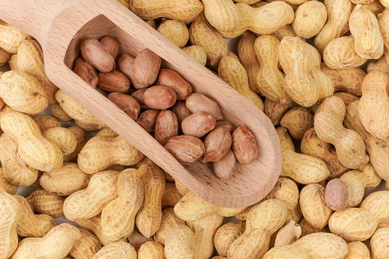 色选机|食品色选机|再生资源色选机|矿石色选机|履带色选机