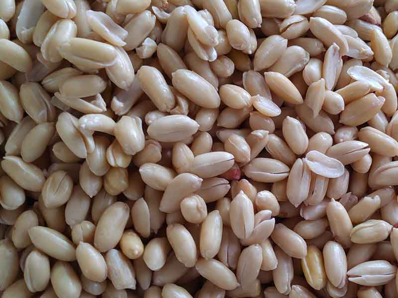 色选机|食品色选机|再生资源色选机|矿石色选机|履带色选机