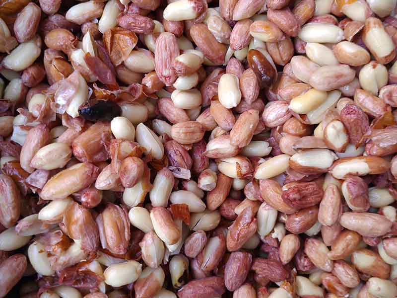 色选机|食品色选机|再生资源色选机|矿石色选机|履带色选机