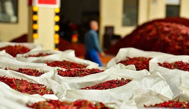 色选机|食品色选机|再生资源色选机|矿石色选机|履带色选机