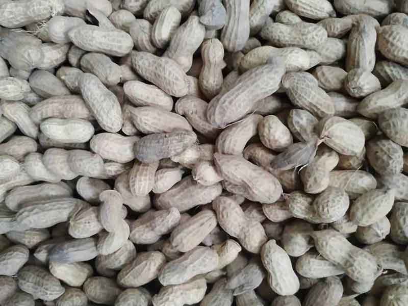 色选机|食品色选机|再生资源色选机|矿石色选机|履带色选机