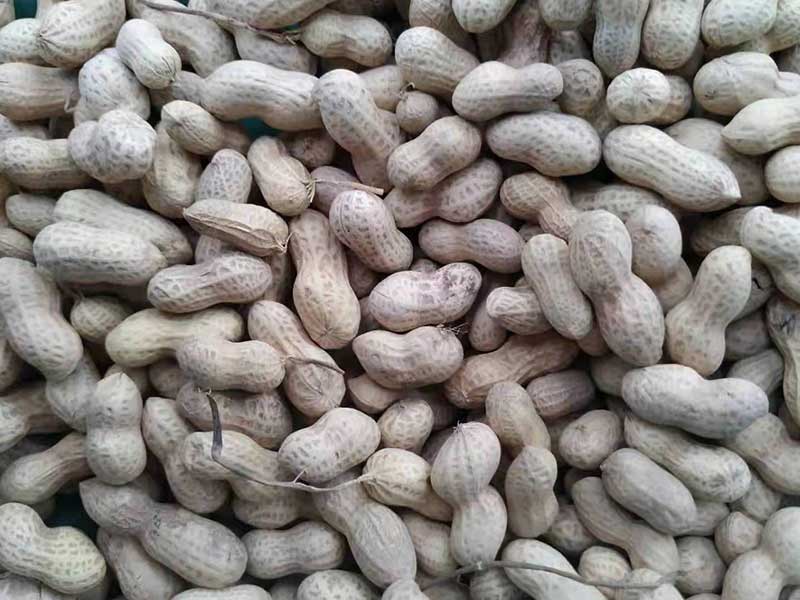 色选机|食品色选机|再生资源色选机|矿石色选机|履带色选机