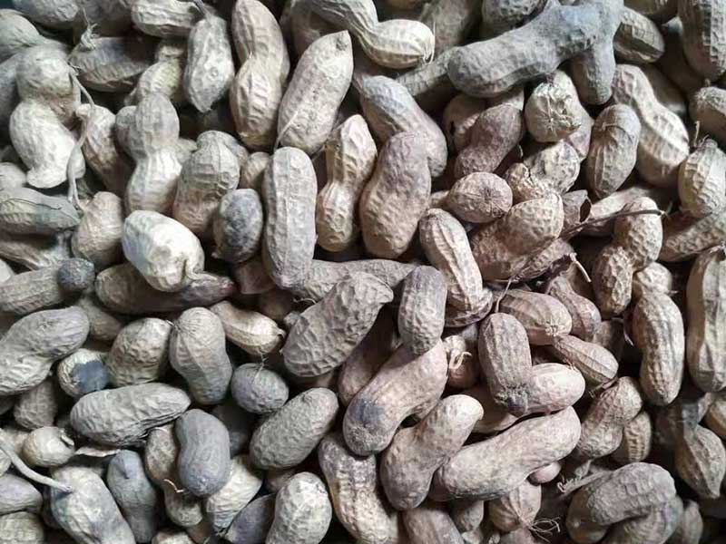 色选机|食品色选机|再生资源色选机|矿石色选机|履带色选机