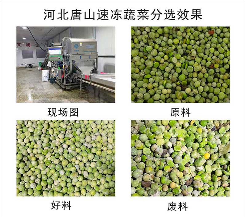 色选机|食品色选机|再生资源色选机|矿石色选机|履带色选机