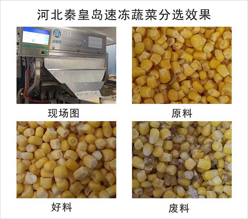 色选机|食品色选机|再生资源色选机|矿石色选机|履带色选机