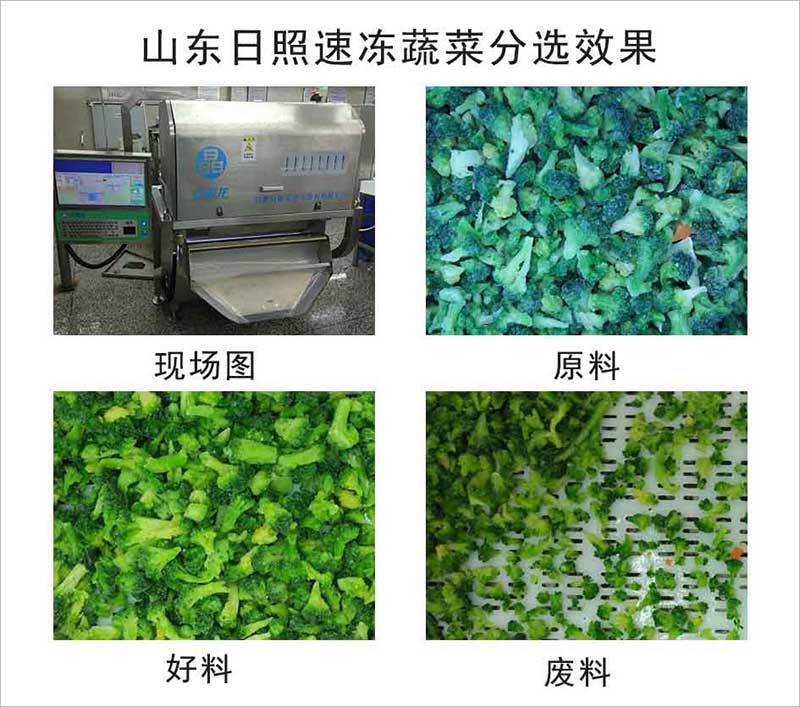 色选机|食品色选机|再生资源色选机|矿石色选机|履带色选机