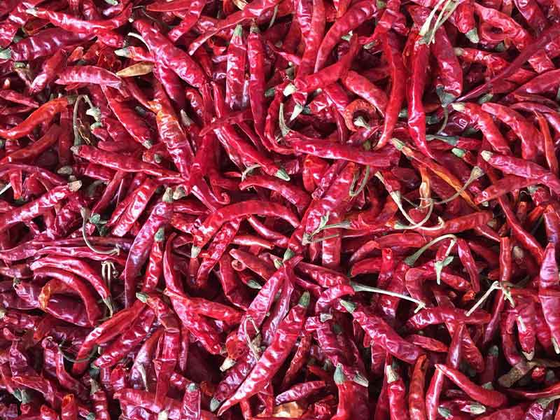 色选机|食品色选机|再生资源色选机|矿石色选机|履带色选机