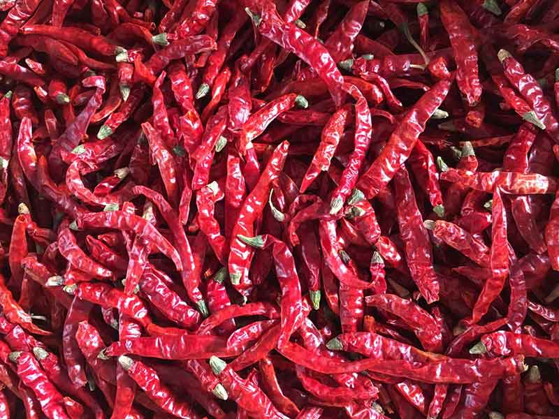 色选机|食品色选机|再生资源色选机|矿石色选机|履带色选机