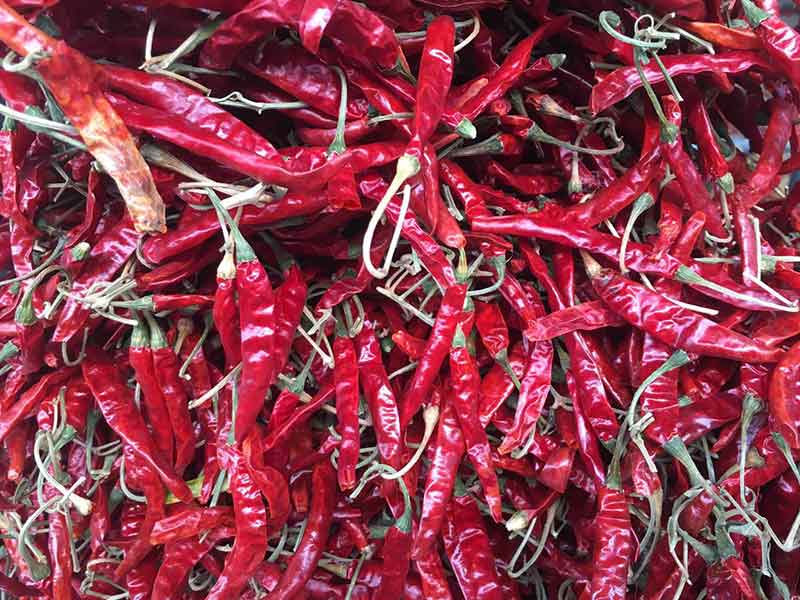 色选机|食品色选机|再生资源色选机|矿石色选机|履带色选机