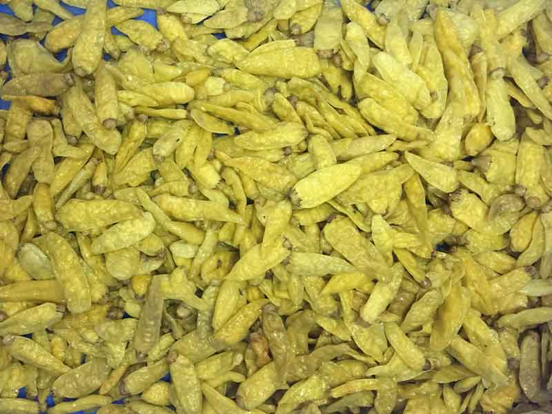 色选机|食品色选机|再生资源色选机|矿石色选机|履带色选机