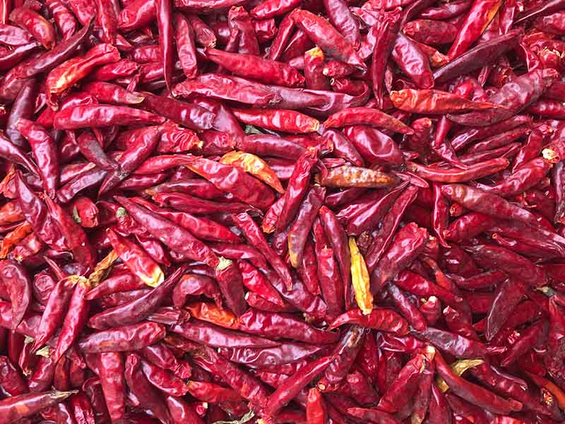 色选机|食品色选机|再生资源色选机|矿石色选机|履带色选机