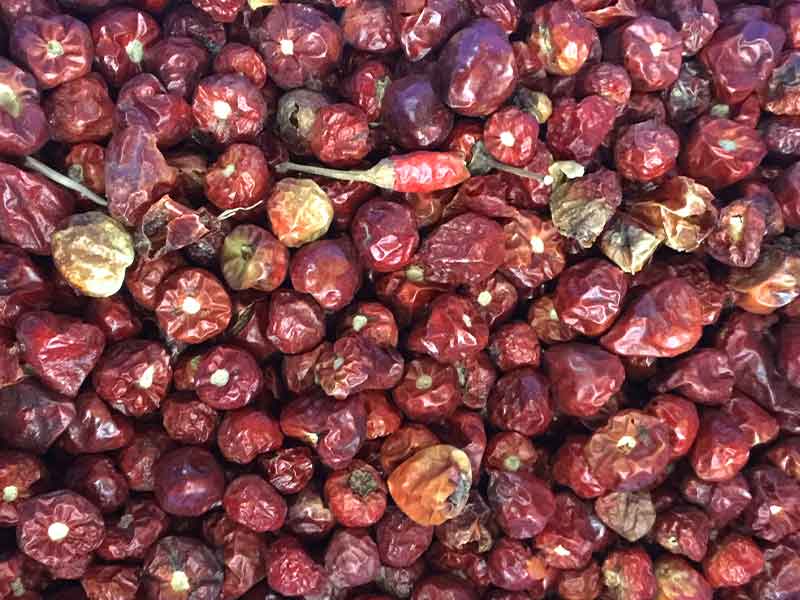 色选机|食品色选机|再生资源色选机|矿石色选机|履带色选机