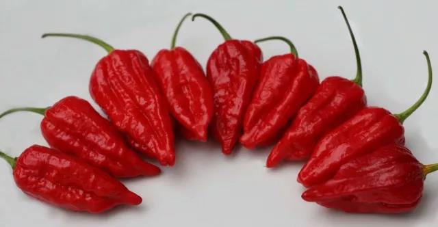 色选机|食品|再生料|矿石|蒜米色选机