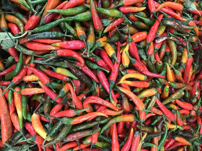 色选机|食品色选机|再生资源色选机|矿石色选机|履带色选机