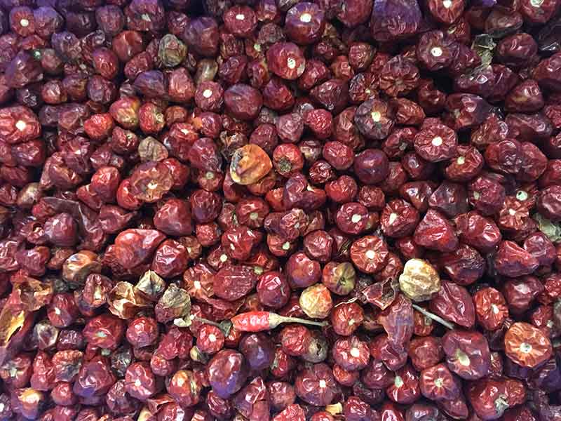 色选机|食品色选机|再生资源色选机|矿石色选机|履带色选机