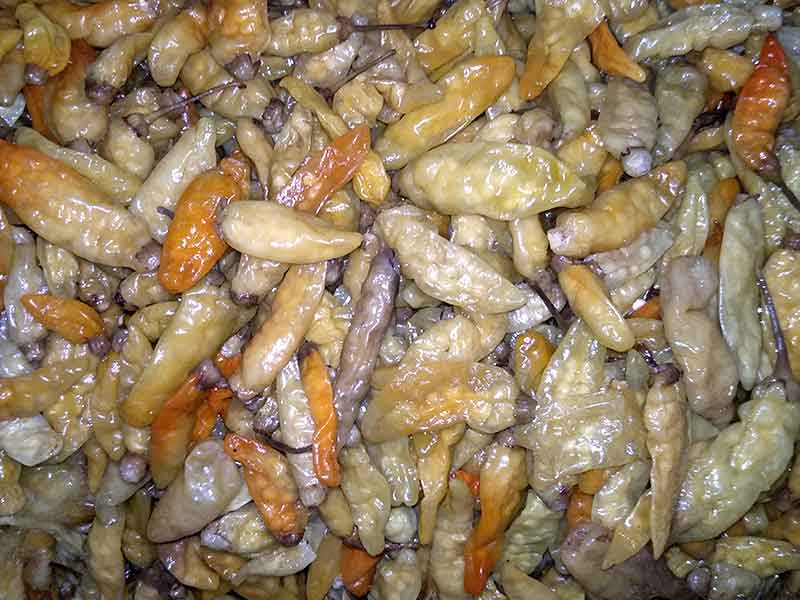 色选机|食品色选机|再生资源色选机|矿石色选机|履带色选机