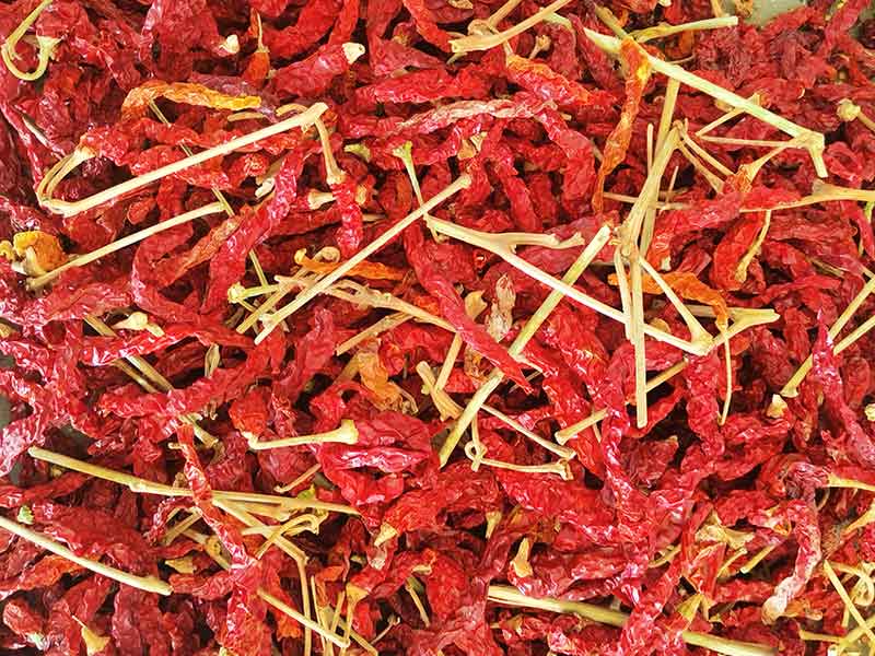 色选机|食品色选机|再生资源色选机|矿石色选机|履带色选机