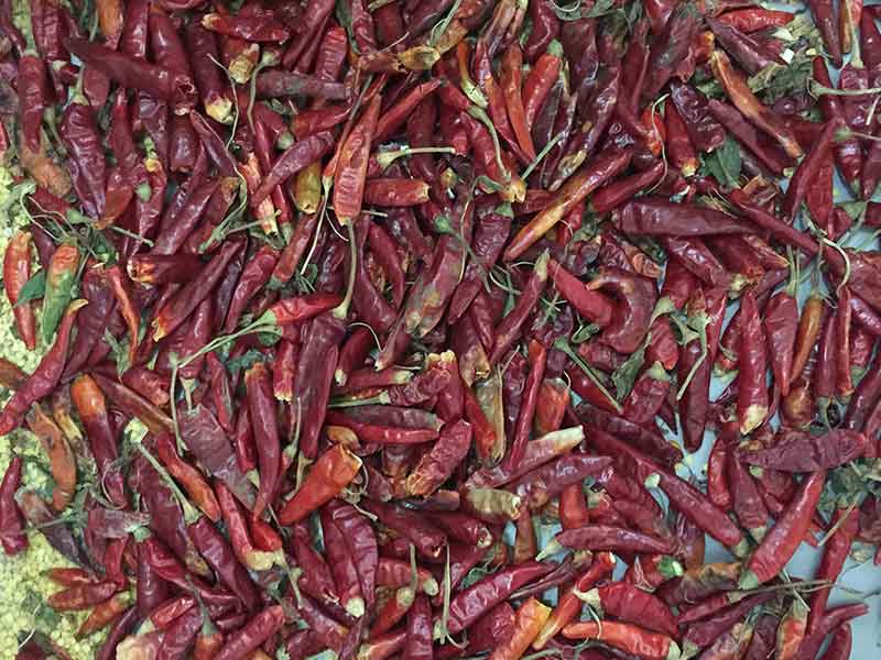 色选机|食品色选机|再生资源色选机|矿石色选机|履带色选机