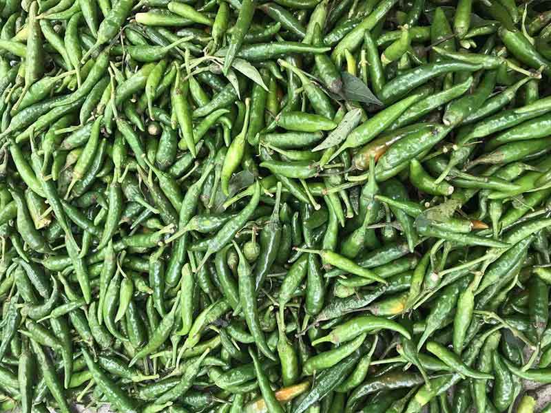 色选机|食品色选机|再生资源色选机|矿石色选机|履带色选机