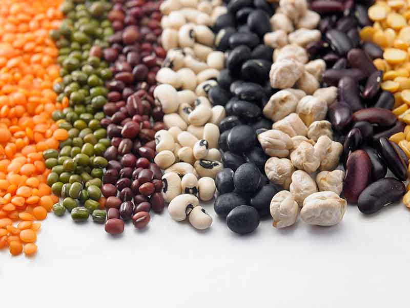 色选机|食品色选机|再生资源色选机|矿石色选机|履带色选机