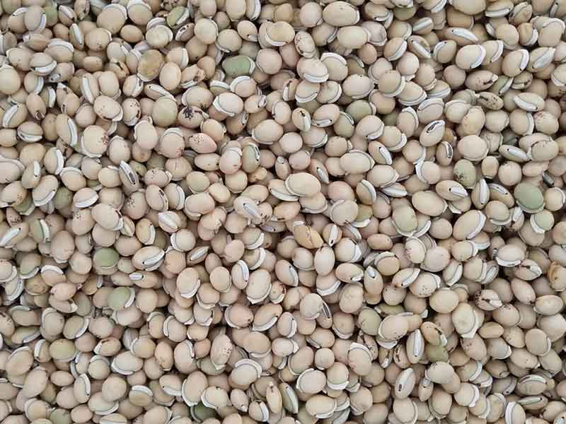 色选机|食品色选机|再生资源色选机|矿石色选机|履带色选机