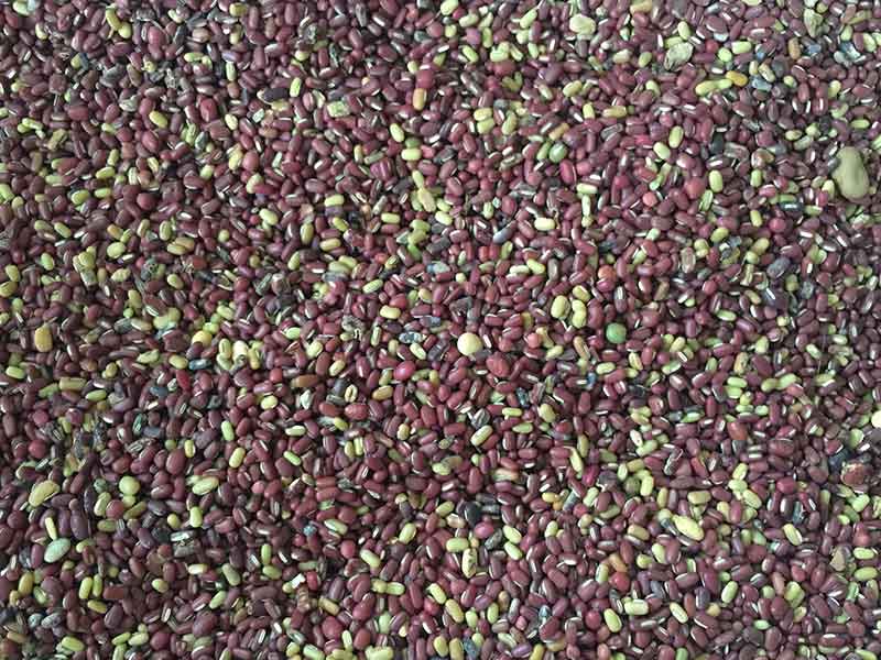 色选机|食品色选机|再生资源色选机|矿石色选机|履带色选机