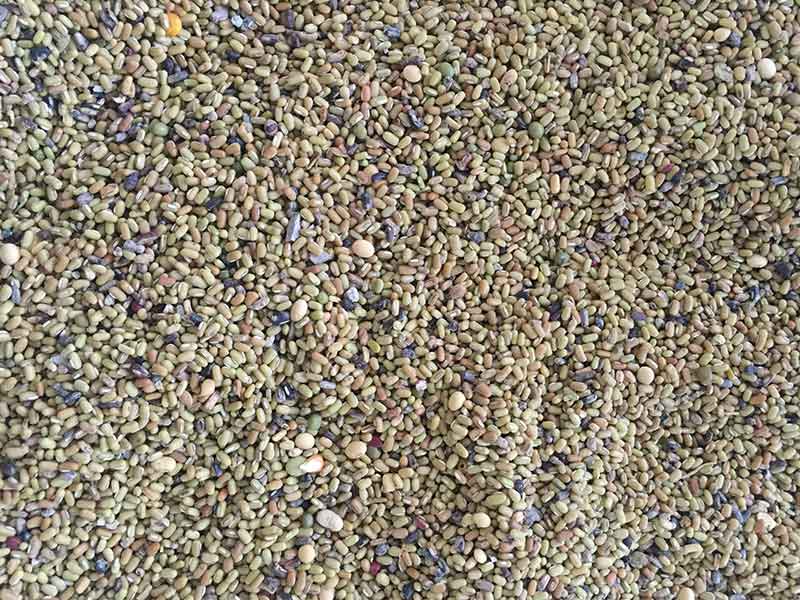 色选机|食品色选机|再生资源色选机|矿石色选机|履带色选机