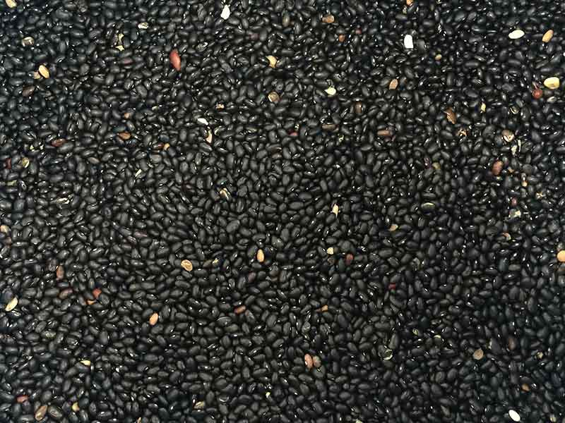 色选机|食品色选机|再生资源色选机|矿石色选机|履带色选机