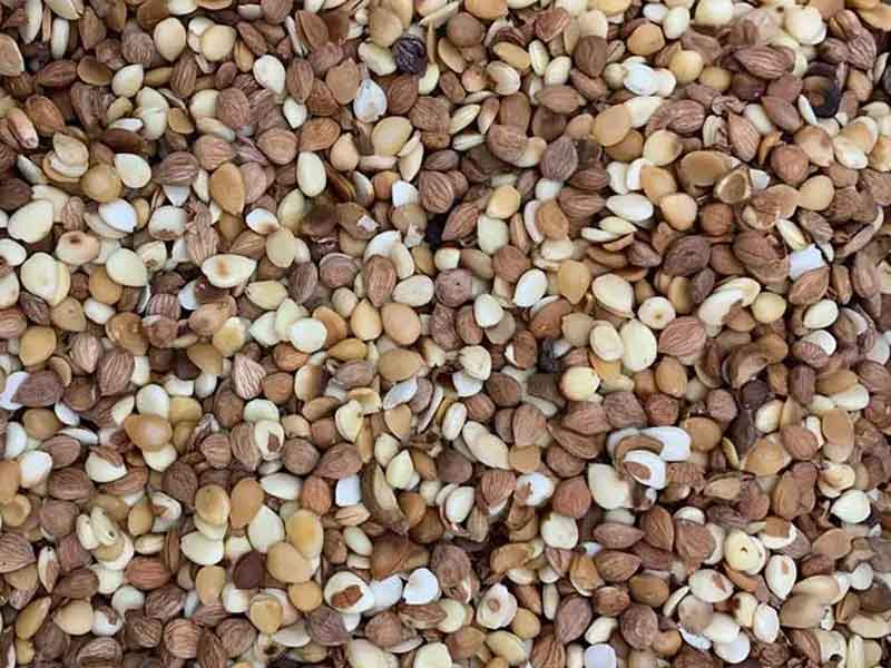 色选机|食品色选机|再生资源色选机|矿石色选机|履带色选机