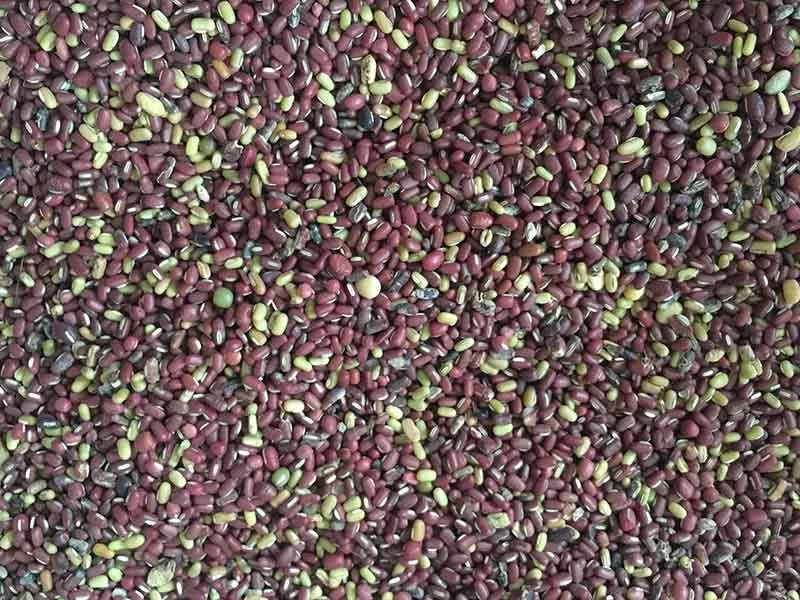 色选机|食品色选机|再生资源色选机|矿石色选机|履带色选机