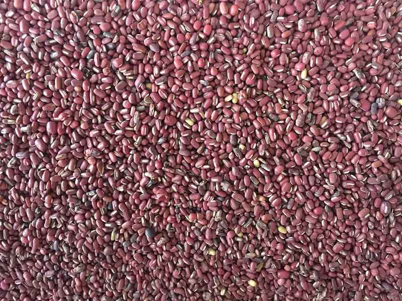 色选机|食品色选机|再生资源色选机|矿石色选机|履带色选机