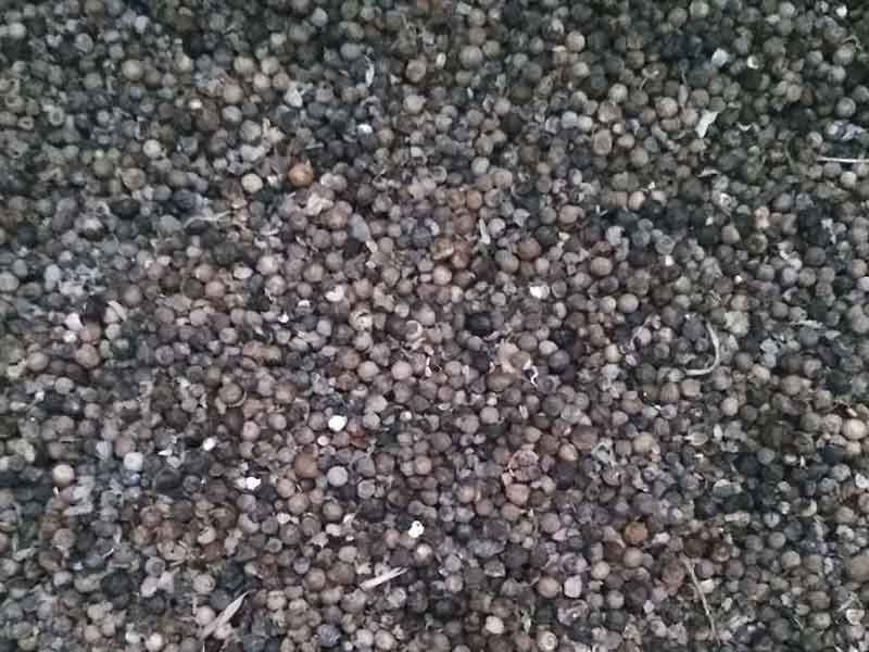 色选机|食品色选机|再生资源色选机|矿石色选机|履带色选机