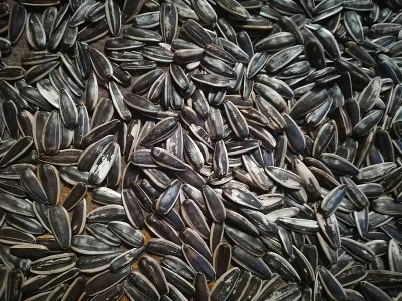 色选机|食品色选机|再生资源色选机|矿石色选机|履带色选机