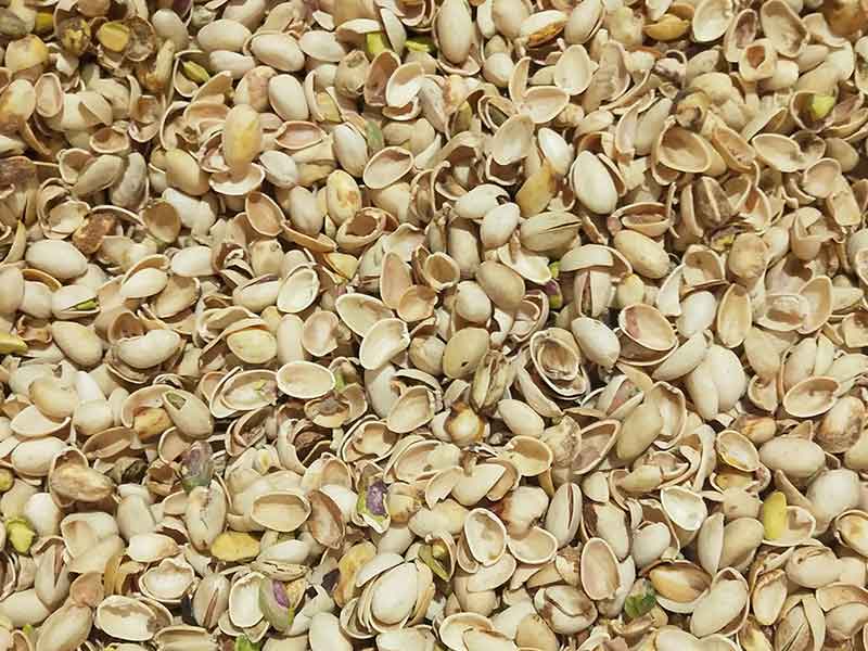 色选机|食品色选机|再生资源色选机|矿石色选机|履带色选机