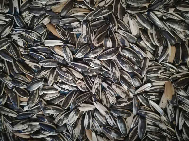 色选机|食品色选机|再生资源色选机|矿石色选机|履带色选机