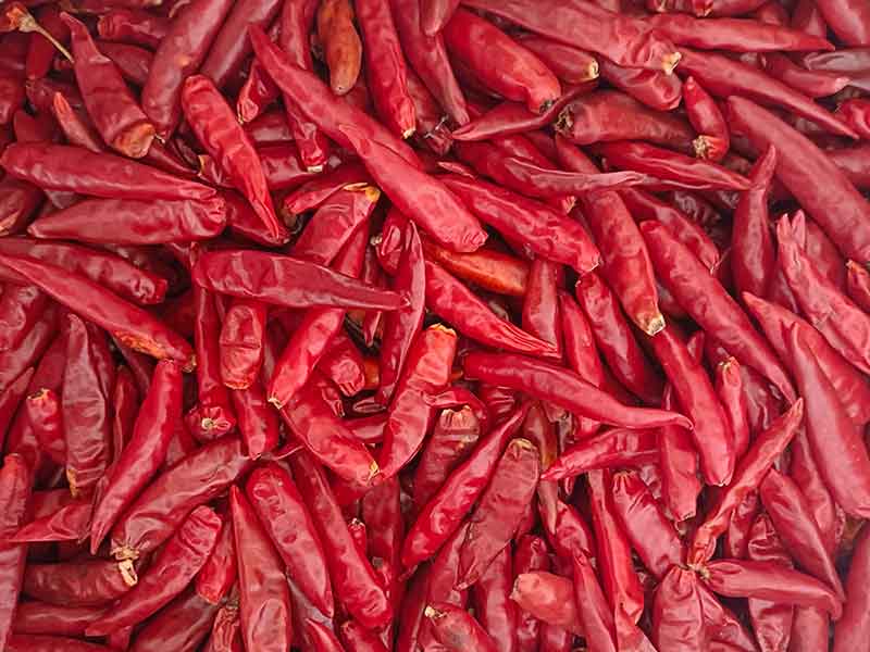 色选机|食品色选机|再生资源色选机|矿石色选机|履带色选机