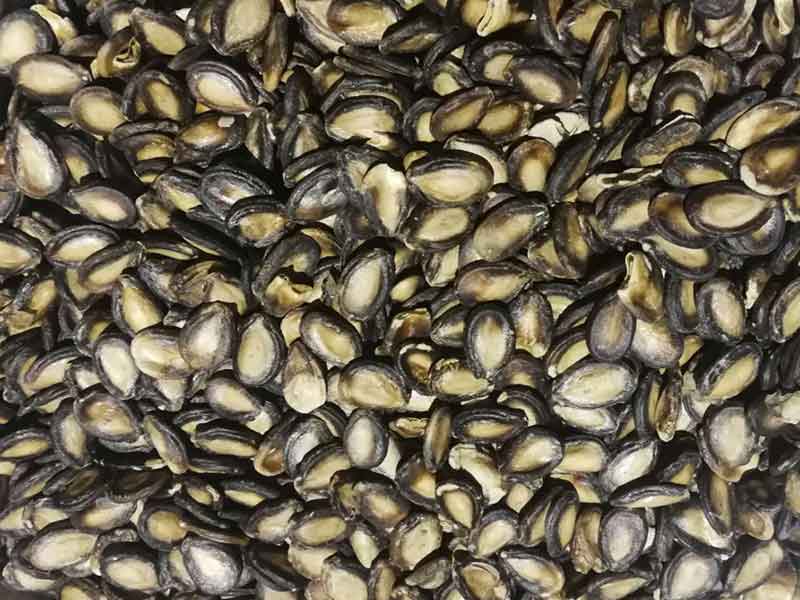 色选机|食品色选机|再生资源色选机|矿石色选机|履带色选机